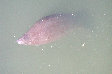 DSCN4422.JPG